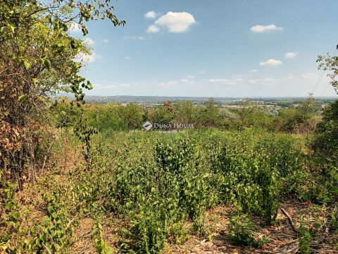 Eladó Telek 2030 Érd , Érd Júlia utca és Hosszú utca sarka