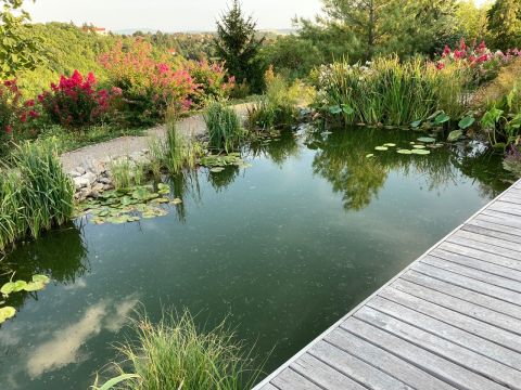 Eladó Ház 7635 Pécs 