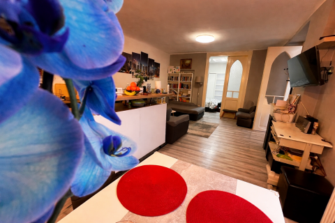 Eladó Ház 1222 Budapest 22. kerület 