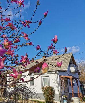 Eladó Ház 2092 Budakeszi Nagyszénászugban jó megközelíthetőséggel