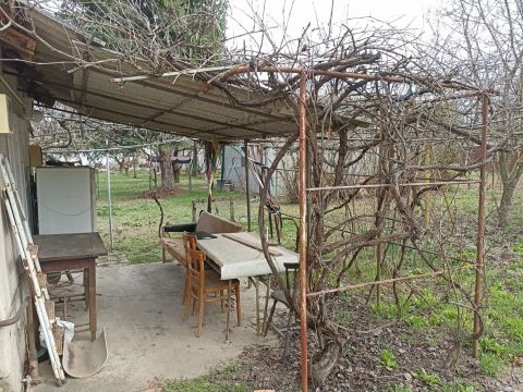 Eladó Ház 6757 Szeged 