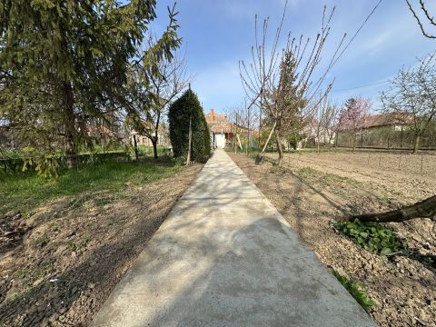 Eladó Ház 5475 Csépa Csépa frekventált rèszèn jó állapotú csalàdi hàz eladó