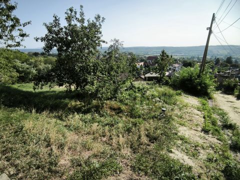 Eladó Telek 9090 Pannonhalma Pannonhalmán panorámás építési telek eladó!