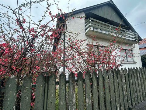 Eladó Ház 2730 Albertirsa , Étterem szomszédságában