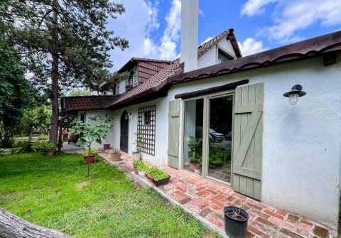 Eladó Ház 2373 Dabas Rusztikus csodás otthon & számtalan lehetőség!