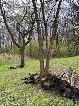 Eladó Telek 8975 Szentgyörgyvölgy 