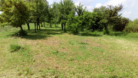 Eladó Telek 8073 Csákberény 