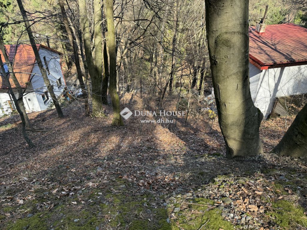 9726 Velem , Kossuth Lajos utca közelében — 1/6