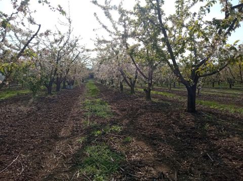 Eladó Telek 2051 Biatorbágy 