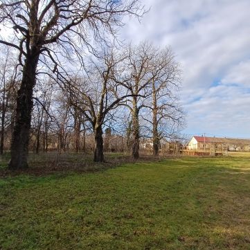 Eladó Ház 7015 Igar 