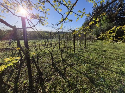 Eladó Ház 8983 Nagylengyel 