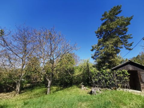 Eladó Telek 2092 Budakeszi , Erdő közeli telek kis faházikóval