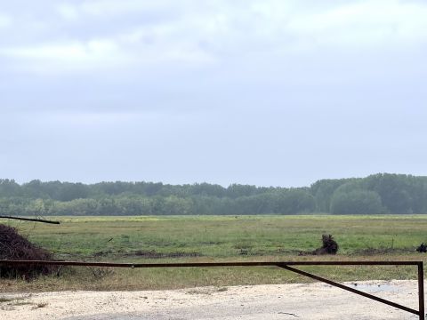 Eladó Telek 2351 Alsónémedi , 37 ha telek eladó