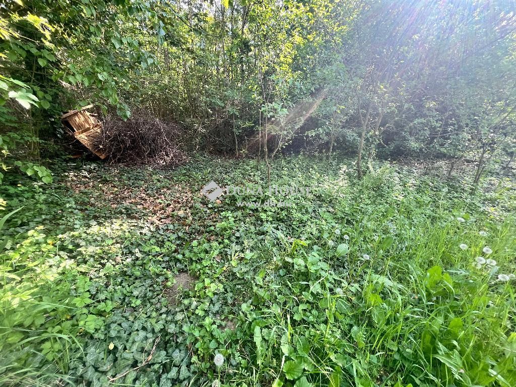 5130 Jászapáti , 5130 Jászapáti, frekventált — 1/2