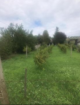 Eladó Ház 8132 Lepsény 8132 Lepsény, Balatonaliga)