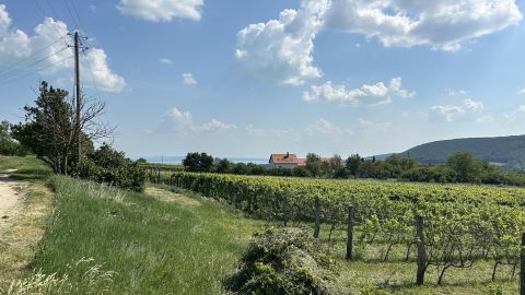 Eladó Telek 8272 Szentantalfa , Nincs utca