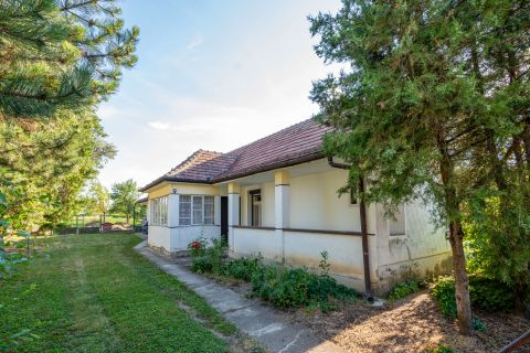 Eladó Ház 8145 Nádasdladány 