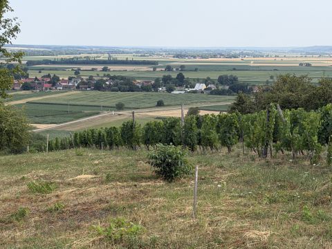 Eladó Telek 9795 Vaskeresztes 