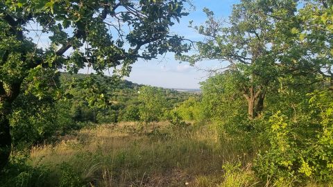 Eladó Telek 8220 Balatonalmádi , Csendes utcában