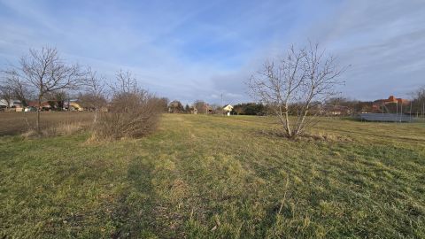 Eladó Telek 2454 Iváncsa 