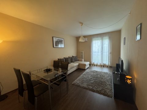 Kiadó Lakás 7633 Pécs 