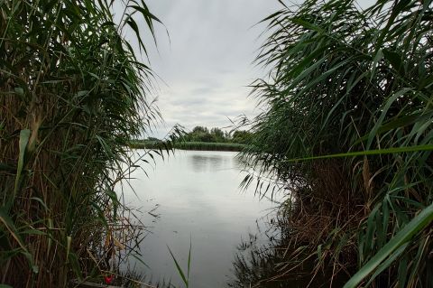 Eladó Ház 6064 Tiszaug , Közvetlen vízpart horgászház, nyaraló