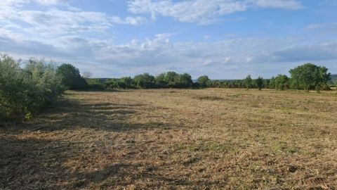 Eladó Telek 9400 Sopron , Virágvölgy