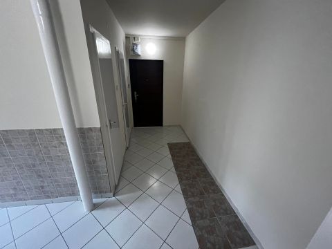 Kiadó Lakás 6000 Kecskemét Kiadó nappali+2 szobás,erkélyes lakás Kecskeméten!