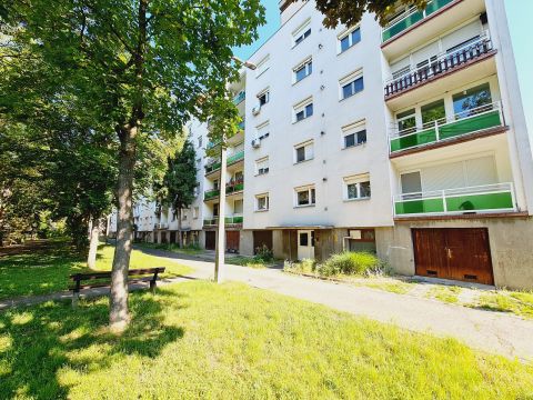 Kiadó Lakás 5600 Békéscsaba 