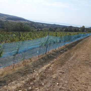 Eladó Telek 8272 Balatoncsicsó 