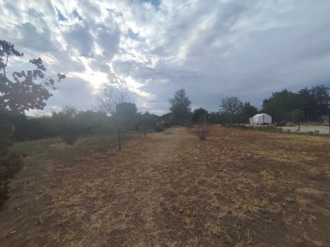 Eladó Telek 2339 Majosháza , beépítésre alkalmas telek Majosházán