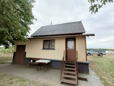 Eladó Ház 6000 Kecskemét 