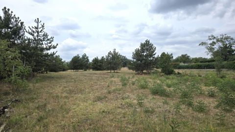 Eladó Telek 2030 Érd , Panorámás építési telek fenyőfákkal