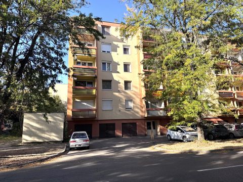 Eladó Lakás 5600 Békéscsaba , Magasföldszinti, erkélyes, 3 szobás lakás. Hőszigetelt tömb.