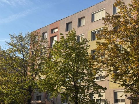 Eladó Lakás 8000 Székesfehérvár , 8000 Székesfehérvár, Belváros
